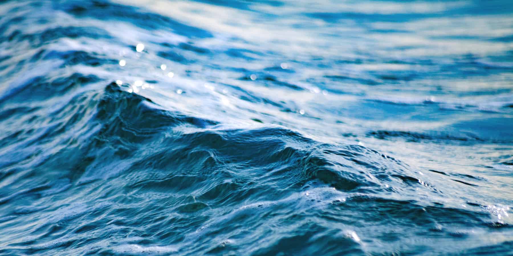 Project SWELL San Diego Coastkeeper