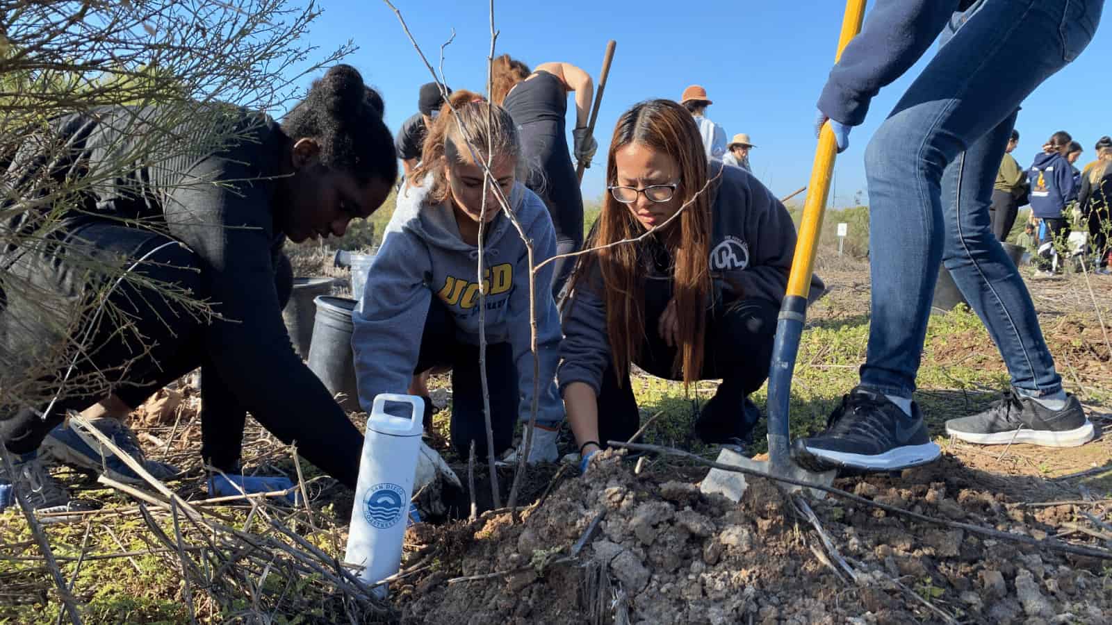 Tree Planting and Riverbed Cleanup in Otay Valley Regional Park