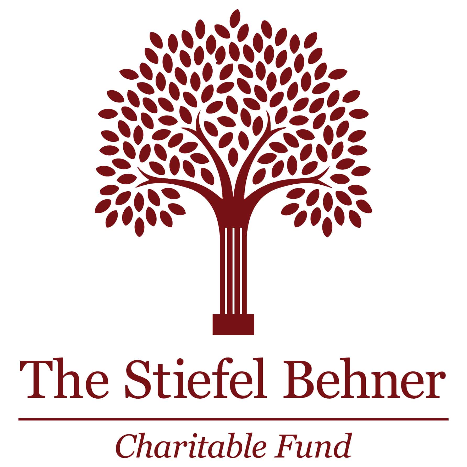 The Stiefel Behner Charitable Fund