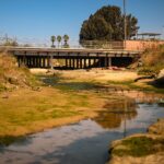 Pollution, debris, and vegetation in Chollas Creek into which stormwater gets funneled and before flowing into San Diego Bay. Photo by Chris Parkes.