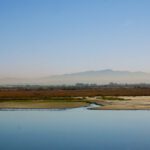 Tijuana River Valley in the morning.