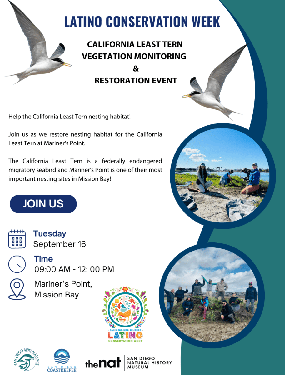 LCW-CLTE vegetation event (1)