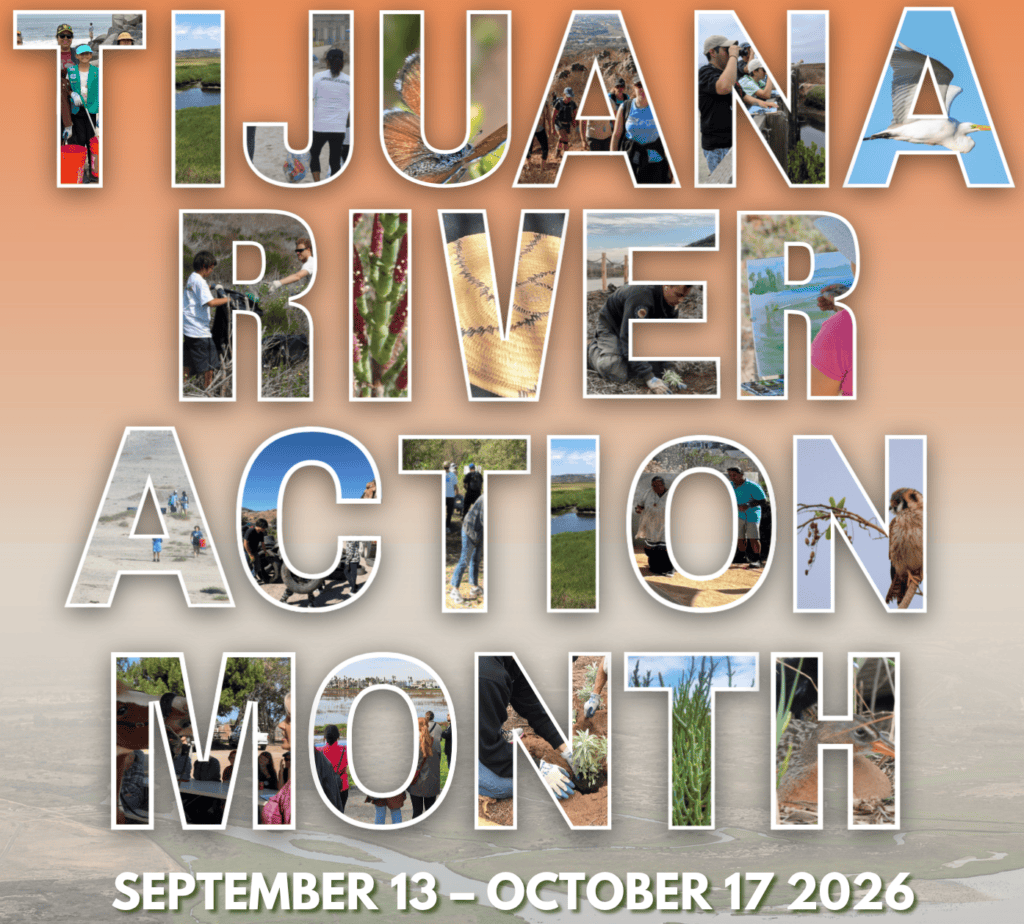 TRAM_web_banner_date-1024×924
