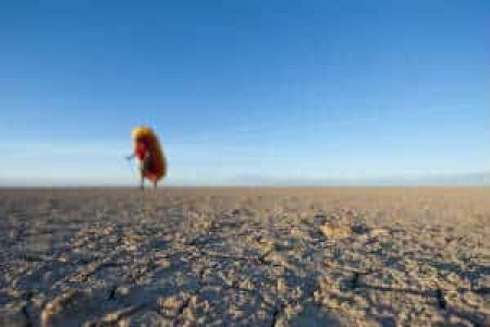 Colorado_Delta_PeterMcBride