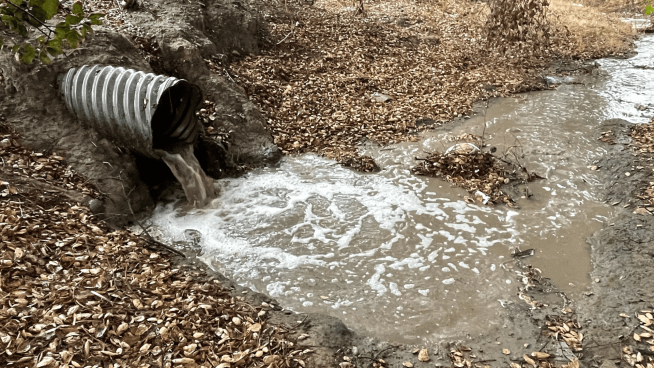 Stormwater pipe dumping polluted urban runoff into a nearby creek